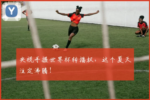 央视手握世界杯转播权，这个夏天注定沸腾！
