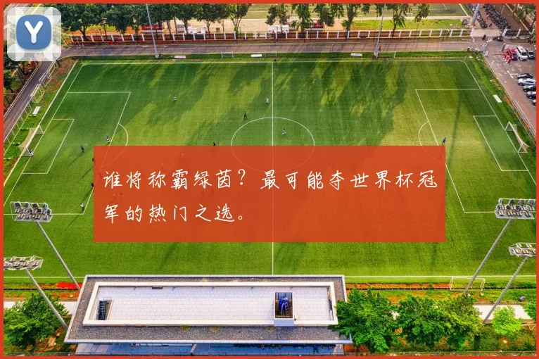 谁将称霸绿茵？最可能夺世界杯冠军的热门之选。