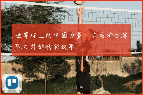 世界杯上的中国力量:专访讲述球队之外的精彩故事