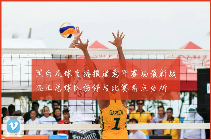 黑白足球直播报道意甲赛场最新战况汇总球队伤停与比赛看点分析
