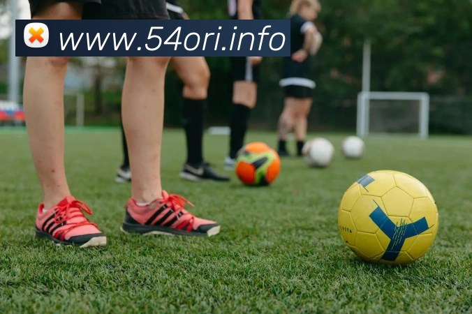 九游网页版官方入口平台生态图